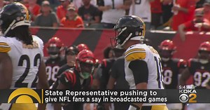 PA State Rep aiming to help sports fans with new resolution