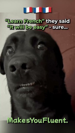 Achieve French Pronunciation Mastery with MakesYouFluent! Join our community of 40k satisfied users and boost your confidence today! Effectively convey your thoughts from the start. Master French pronunciation with MakesYouFluent! 🏆 Benefit from award-winning speech-recognition technology 🔊 Receive a personalized speaking plan tailored to you 🌏 Join over 40k satisfied users worldwide No more struggling with pronunciation. No more embarrassing mistakes. No more doubting your skills. “Since usi