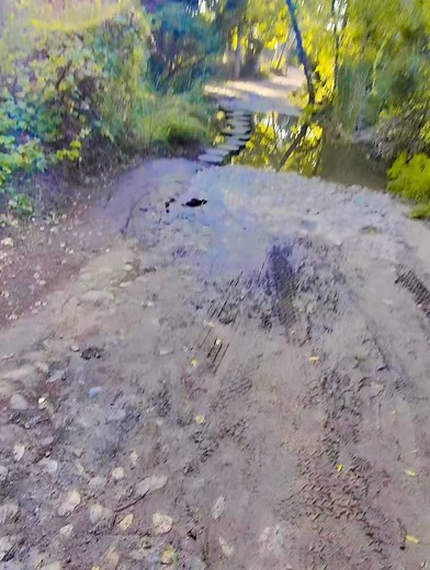 Get those steps in. #speedsteps #goodtimes #vibing #nature #quickfeet #vibes #enjoy | Korey Krashaun