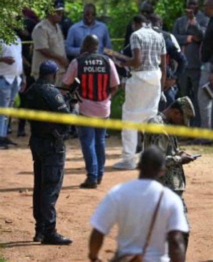 Twin brothers chop up each other after arguing over land 😪 #clarendon #jamaicanews #jamaicanewstoday #jamaicatiktok