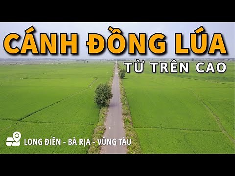 Beautiful Scenery of Long Dien Rice Field - Ba Ria Vung Tau from Above | Milo Vo