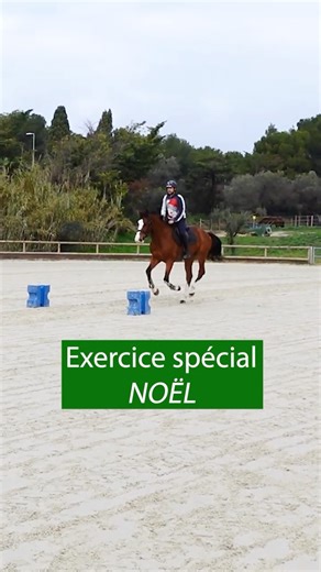 Horse riding: Christmas exercise #horse