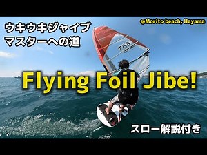 フォイルジャイブの解説動画