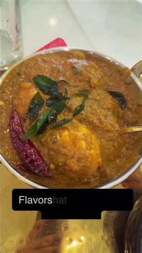Chicago’s Hidden Gem for Dosa & Biryani 🍛🌶️| Magic Pepper Review