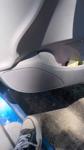 Turtle rescue #wonderpets