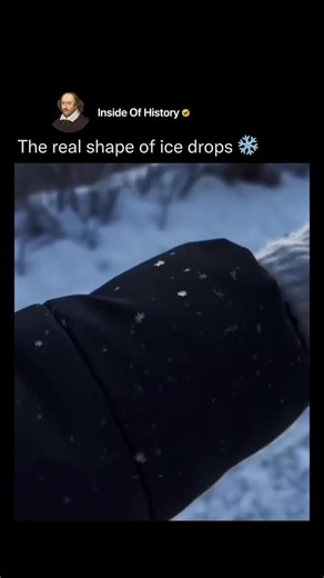 Inside Of History on Instagram: "The video reveals something we almost never notice in everyday life—the true shape of ice drops as they freeze in motion. At first glance, it looks like an ordinary droplet forming, but as the camera focuses closer, the magic begins. The ice doesn’t freeze into a perfect, smooth circle like we often imagine. Instead, it takes on a unique, almost sculpted form, shaped by physics, temperature, and time. As the drop cools, you can see tiny ridges, curves, and pointe