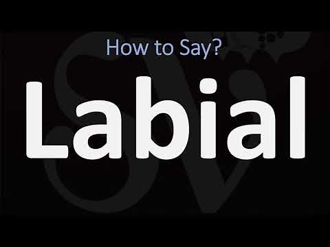 How to Pronounce Labial? (CORRECTLY)