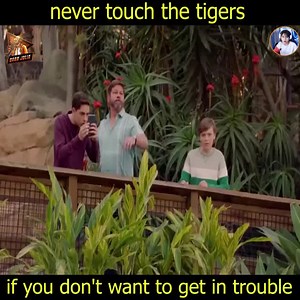 22K views · 169 reactions | Revisit the best action series on Netflix 2021 | Another Lost Year | Facebook