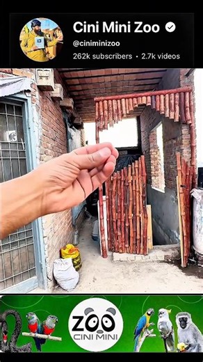 Mini Zoo Ki Crafting Start 😃😍cinimini zoo #shorts #viralvideo #shortvideo