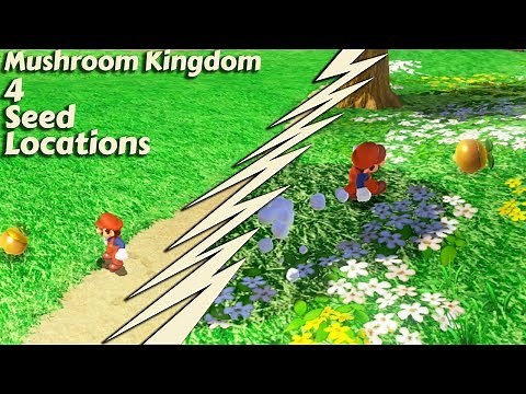 Mushroom Kingdom - 4 Seed Locations - Super Mario Odyssey