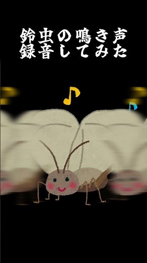 【高音質環境音】鈴虫の鳴き声めっちゃ綺麗に録音出来たから聴いてｗｗｗ！【フリー素材】#鈴虫 #鳴き声 #効果音 #環境音