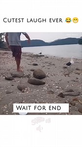 Frie nds forever ❤️❤Friends forever ❤️❤#love #motherhood #birds | Birds World