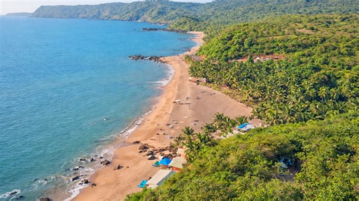 The palm lined shores of Cola Beach