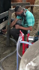 Así se ve la ganadería cuando la tradición se encuentra con la innovación.