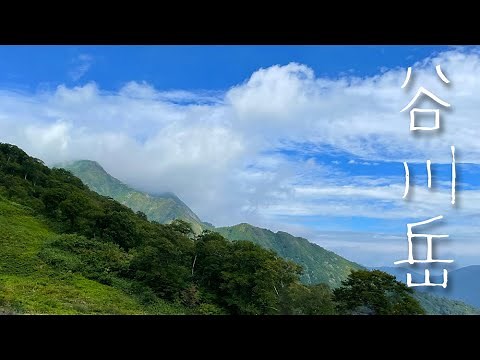 ４K映像 百名山 谷川岳を登る（1,977ｍ）天神尾根ルート ロープウェイで日帰り！ ソロ登山にチャレンジ