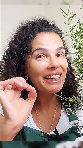 🌿DESCUBRA como plantar ALECRIM do jeito certo, assista ao vídeo completo 🌿