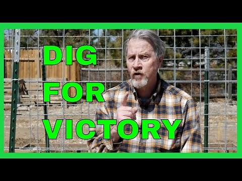 Why You Need a Victory Garden