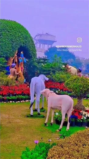 Kitna Sundar Lage Man ke bhajan 🙏🙏🙏🙏
