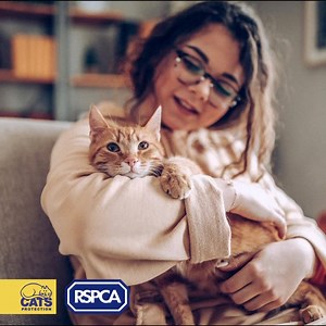 48 reactions | Cats can be neutered at 4 months of age, so you don’t need to wait. | Cats Protection | Facebook