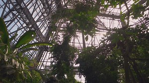 Best Botanical Gardens For Learning About Native Plants