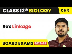 Sex Linkage - Principles of Inheritance and Variation | Class 12 Biology (2022-23)