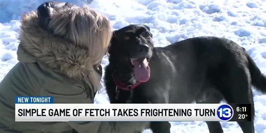 Simple game of fetch takes frightening turn
