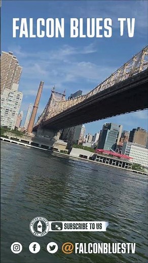 The Muppets Take Manhattan. FalconBluesTV on Tour #nyc #newyork