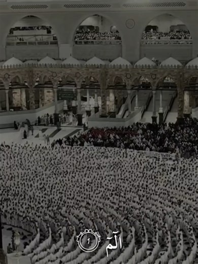 ٱلَّذِينَ يُؤۡمِنُونَ بِٱلۡغَيۡبِ وَيُقِيمُونَ ٱلصَّلَوٰةَ وَمِمَّا رَزَقۡنَٰهُمۡ يُنفِقُونَ ۝٣ #ماهرالمعيقلي #قران #saadolla_hagag #quran #ماهر_المعيقلي