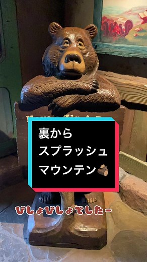 スプラッシュマウンテンの秘密を探るツアー