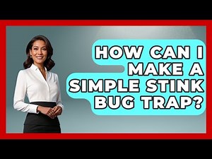 How Can I Make A Simple Stink Bug Trap? - Insects and Invaders