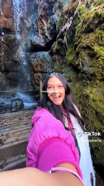 Memorable Travel Montage: Tennessee Dump Adventure 🏔️🐻🎄