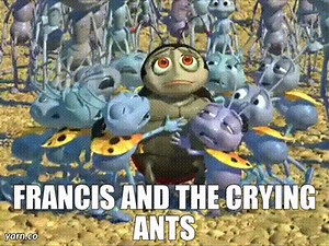 Francis and the crying ants