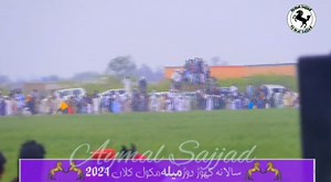 12K views · 575 reactions | First Class Pacer Horse Galhi vs Albeli Mela Makwal Kalan Taunsa sharif #horseracing #ghora | Aymal Sajjad | Facebook