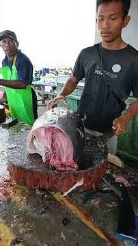 Wow, that's amazing—Bro Rahman is expertly slicing up a huge tuna #fypシ゚viral #shorts #seafood #fish