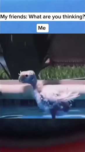 #ligma #roblox #butifyoucloseyoureyes #roblox #funny #butifyoucloseyoureyes #funny #funny