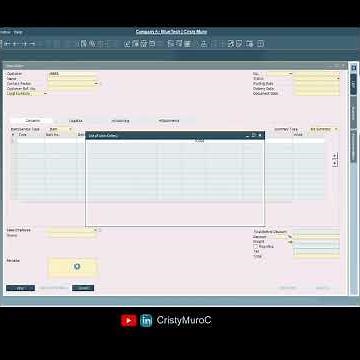 SAP Business One Tips: How to Find Transactions Quickly