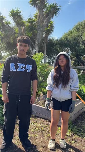 Community Service Fun with UCSB's Upsilons