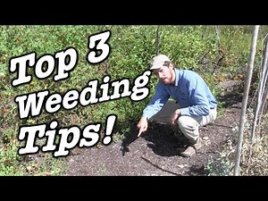 Top 3 Weeding Tips for Organic Gardens and Small Farms