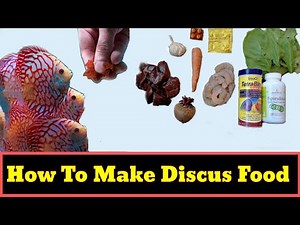 How To Make Discus Fish Food | Goat Heart Mix For Discus Fish