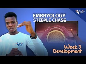 3RD WEEK OF DEVELOPMENT (EMBRYOLOGY STEEPLECHASE QUESTIONS)