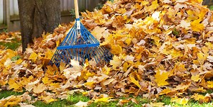 Bet You Didn’t Know There’s a Right Way to Rake Leaves