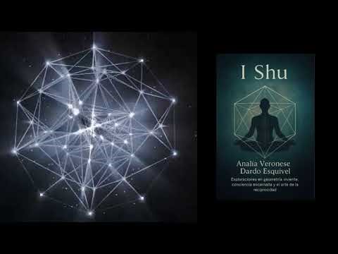 #14 - Vértices del gesto el libro que se volvió espejo