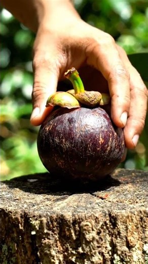 Mind-Blowing Rare Fruits You’ve Never Seen Before! 🌍🍍 #RareFruit #NatureFacts
