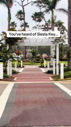 Discover Venice Beach: The Hidden Charm of Florida