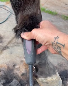 100K views · 102 reactions | Why does #ANDISGROOMNATION Ambassador...