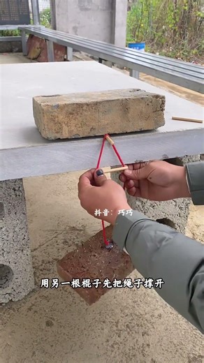 The Power of One: How a Single Tree Can Change Your Life