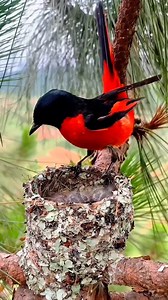 Beautiful family | Raw Nature