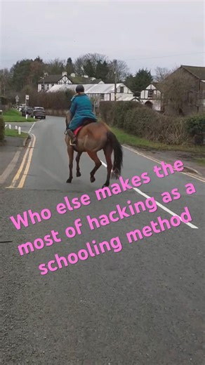 Dressage moves dancing pony #horse #dressage #fyp #equestrian