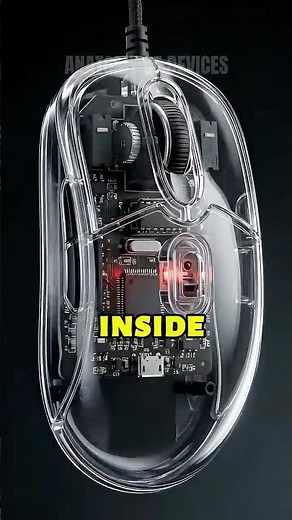 This Mouse Is Smarter Than You Think