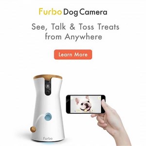 334 reactions · 118 shares | Furbo Dog Camera is vet and dog trainer-approved. Train and comfort your dogs remotely when they are home alone. | Furbo Pet Camera | Facebook